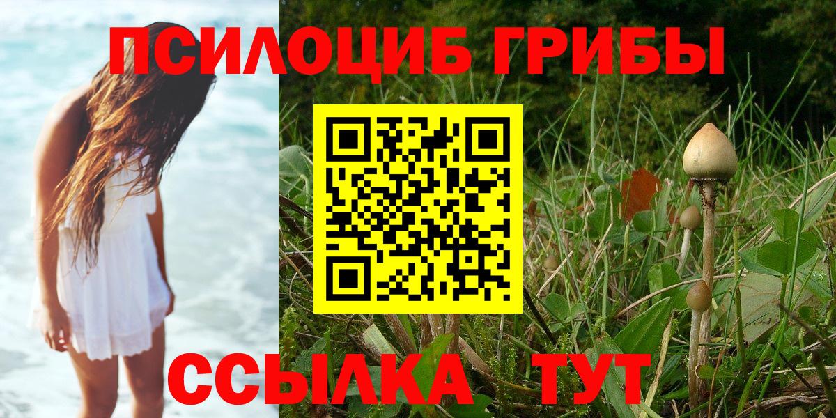 Псилоцибиновые грибы MAGIC MUSHROOMS Ставрополь