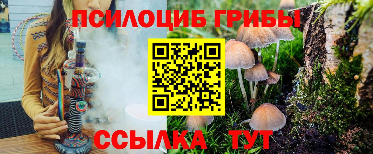 Ставрополь  Галлюциногенные грибы Magic Shrooms  Вход с VPN 