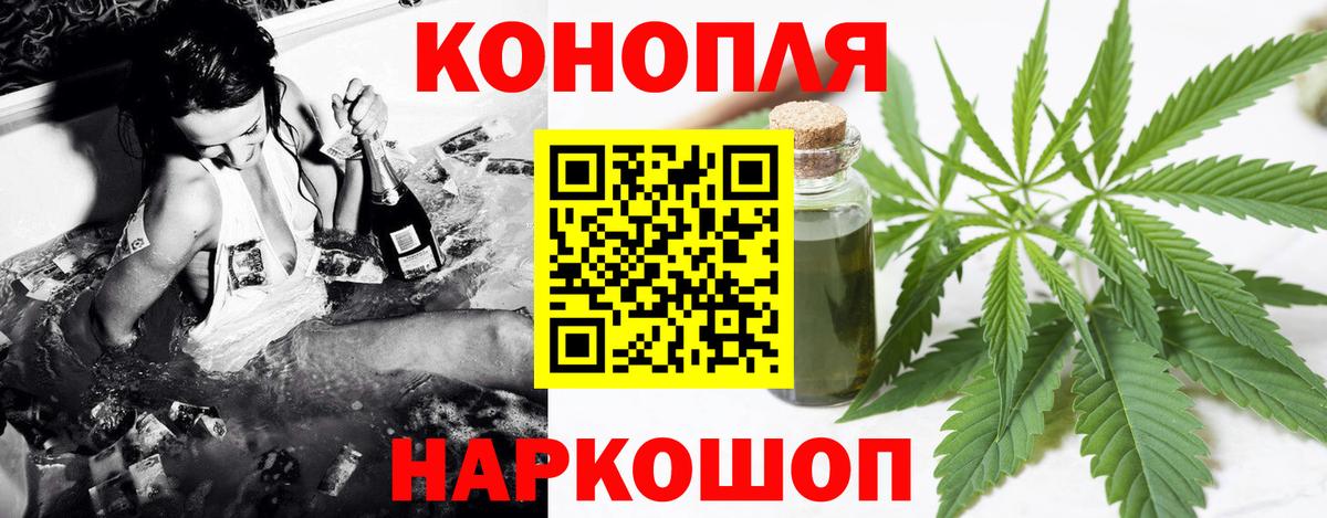Бошки марихуана планчик  Вход с VPN  Бошки марихуана семена  Ставрополь  Конопля тримм 